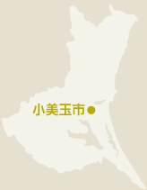 小見玉市